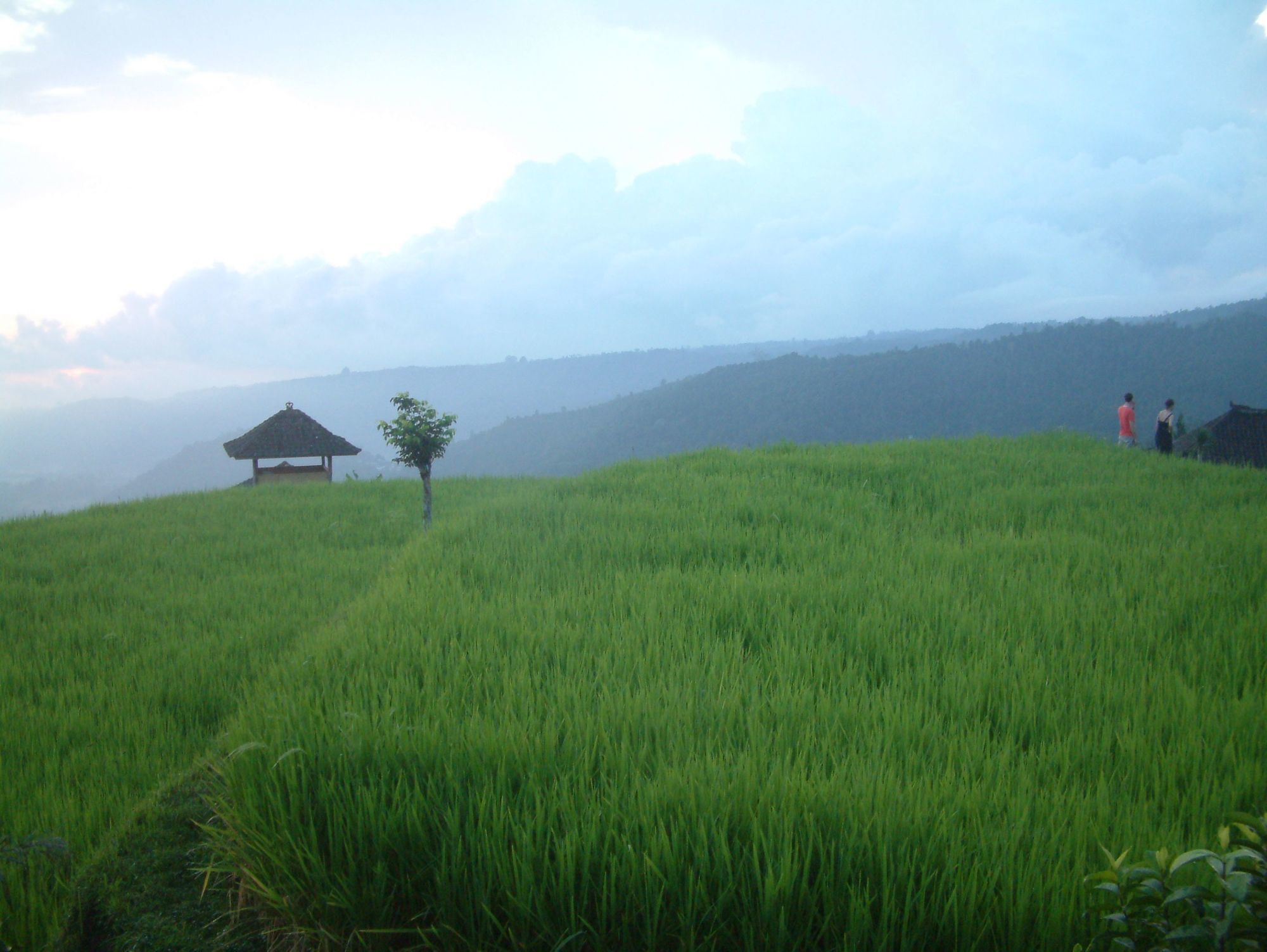 Puri Lumbung Cottages Gobleg  المظهر الخارجي الصورة