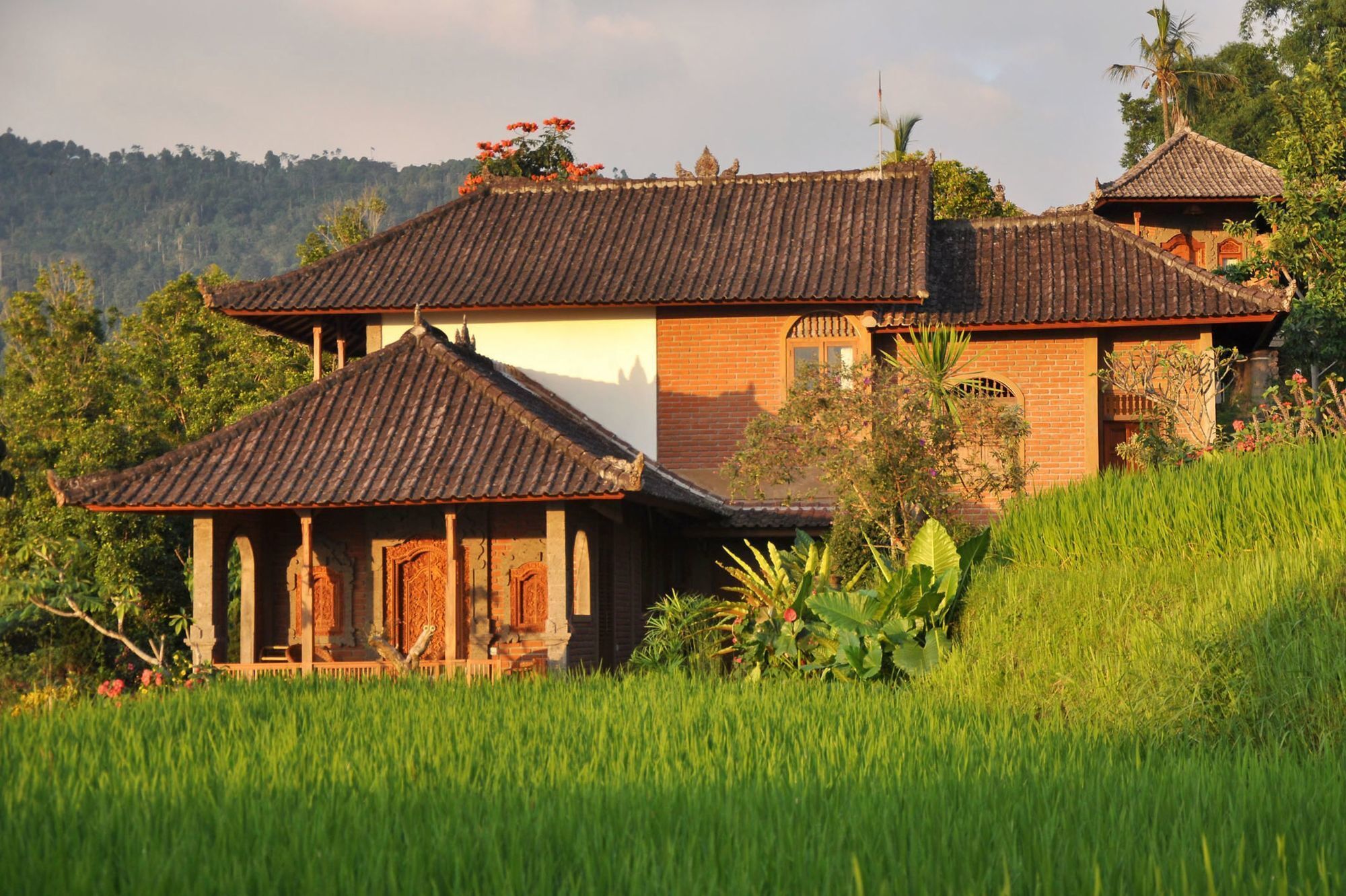 Puri Lumbung Cottages Gobleg  المظهر الخارجي الصورة