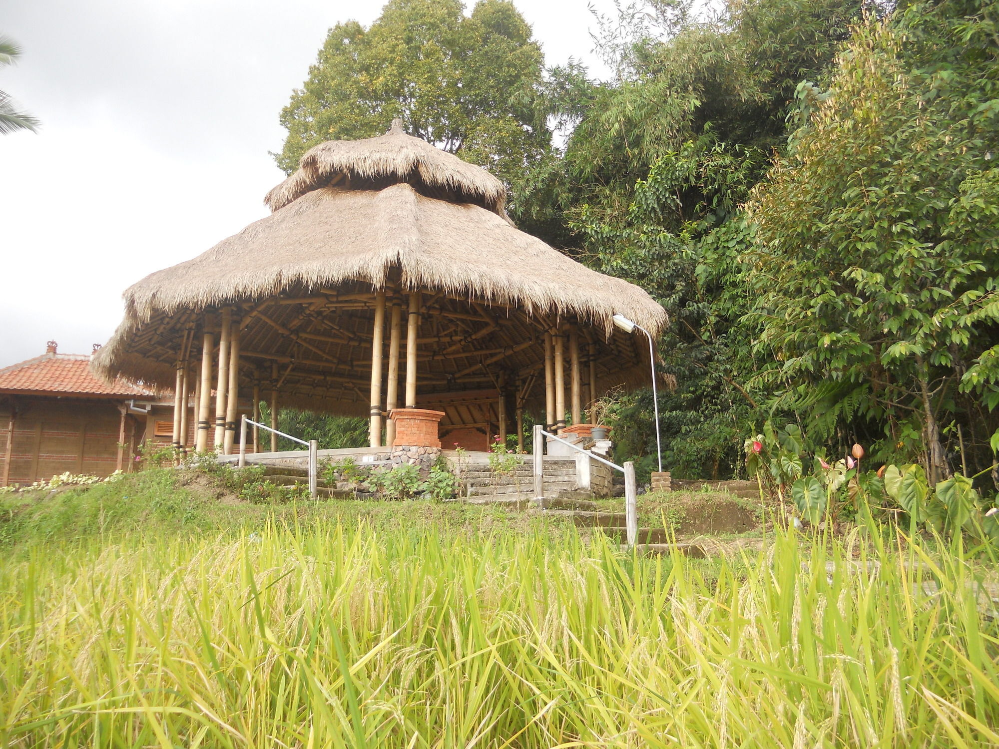 Puri Lumbung Cottages Gobleg  المظهر الخارجي الصورة