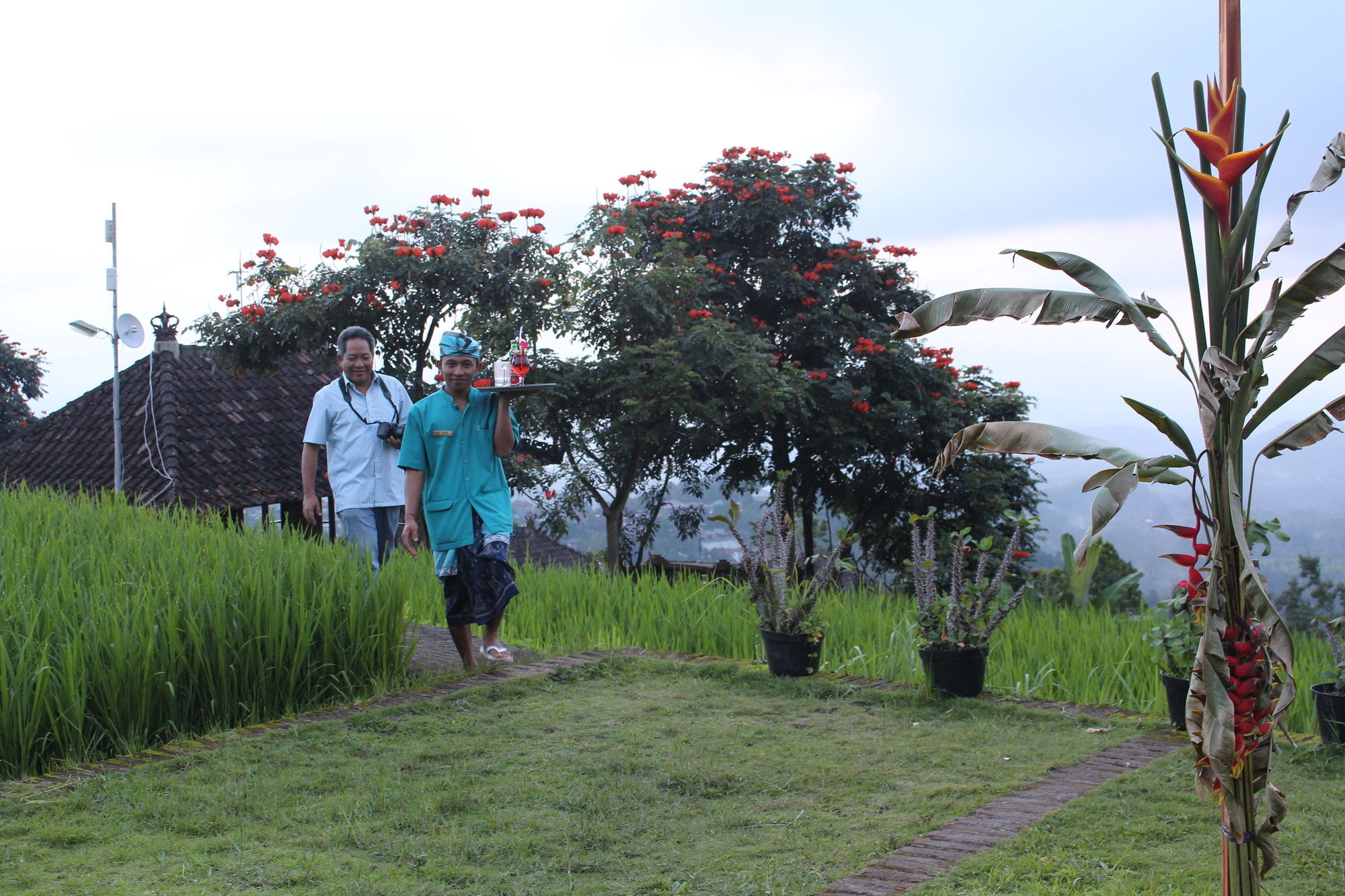Puri Lumbung Cottages Gobleg  المظهر الخارجي الصورة