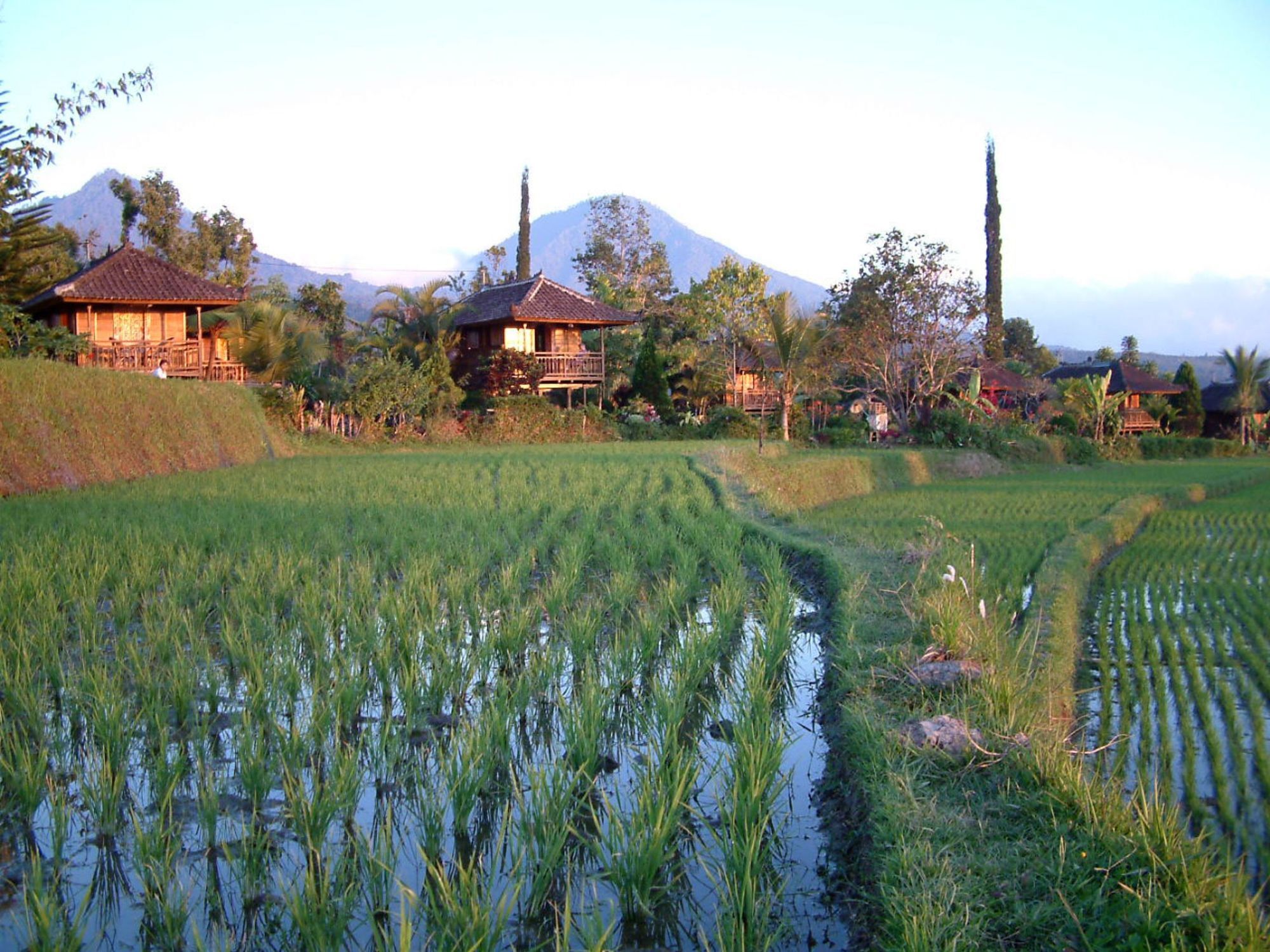 Puri Lumbung Cottages Gobleg  المظهر الخارجي الصورة