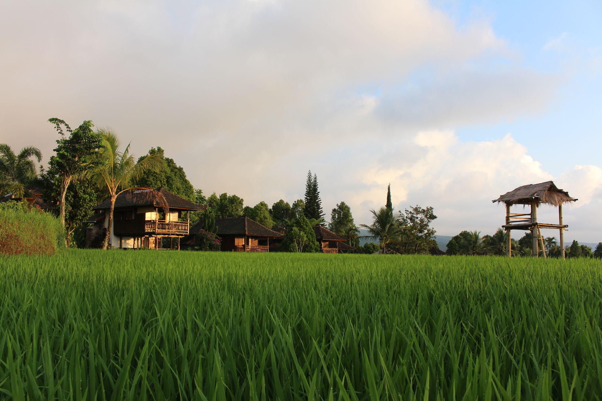 Puri Lumbung Cottages Gobleg  المظهر الخارجي الصورة